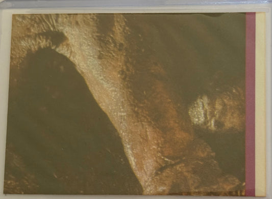 1983 Topps Star Wars: ROTJ Millennium Falcon Sticker #44