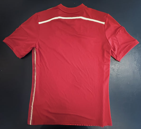 David Villa Hand-Signed Spain National Team 2014 FIFA World Cup Home Jersey (Witnessed in Person)